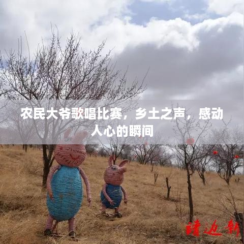 農(nóng)民大爺歌唱比賽，鄉(xiāng)土之聲，感動人心的瞬間