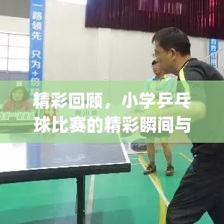 精彩回顧，小學(xué)乒乓球比賽的精彩瞬間與收獲總結(jié)