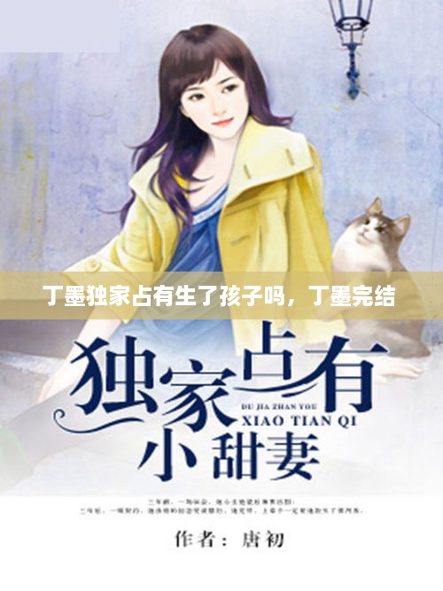 丁墨獨家占有生了孩子嗎，丁墨完結(jié) 