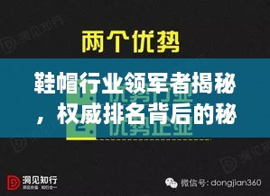 鞋帽行業(yè)領(lǐng)軍者揭秘，權(quán)威排名背后的秘密