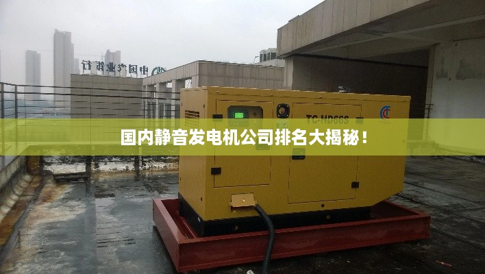 國(guó)內(nèi)靜音發(fā)電機(jī)公司排名大揭秘！