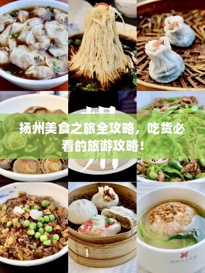 揚(yáng)州美食之旅全攻略，吃貨必看的旅游攻略！