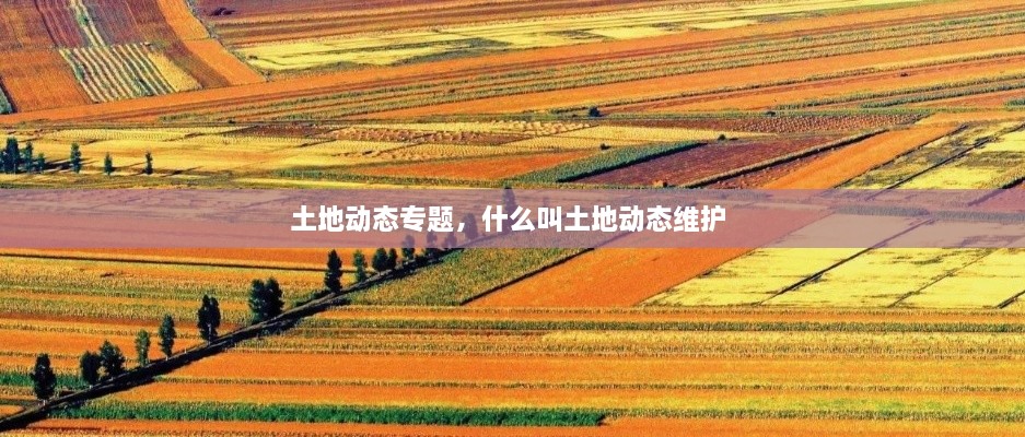 土地動(dòng)態(tài)專題，什么叫土地動(dòng)態(tài)維護(hù) 