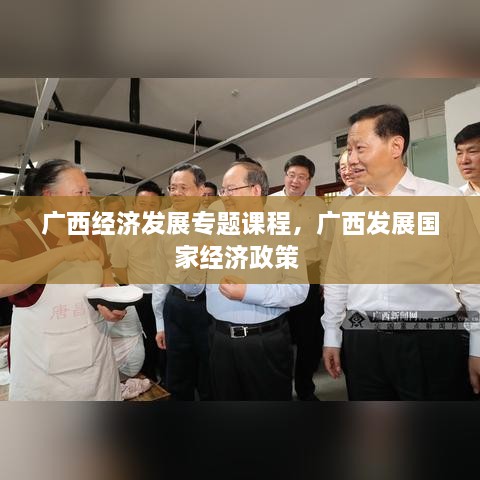 廣西經(jīng)濟(jì)發(fā)展專題課程，廣西發(fā)展國(guó)家經(jīng)濟(jì)政策 