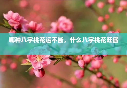 哪種八字桃花運(yùn)不斷，什么八字桃花旺盛 