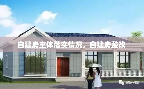 自建房主體落實情況，自建房整改 