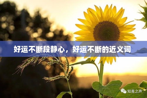 好運(yùn)不斷段靜心，好運(yùn)不斷的近義詞 