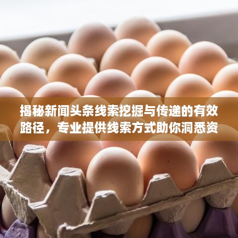 揭秘新聞?lì)^條線索挖掘與傳遞的有效路徑，專業(yè)提供線索方式助你洞悉資訊動(dòng)態(tài)