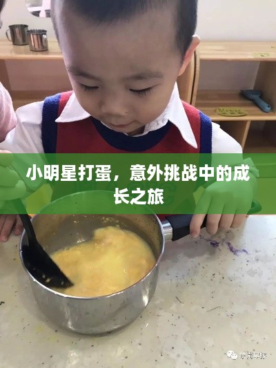 小明星打蛋，意外挑戰(zhàn)中的成長之旅