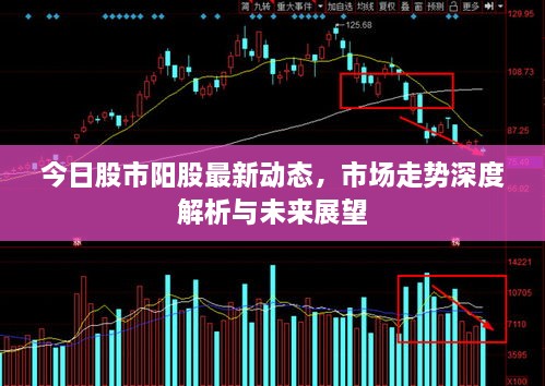 今日股市陽(yáng)股最新動(dòng)態(tài)，市場(chǎng)走勢(shì)深度解析與未來(lái)展望