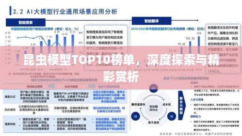 昆蟲模型TOP10榜單，深度探索與精彩賞析