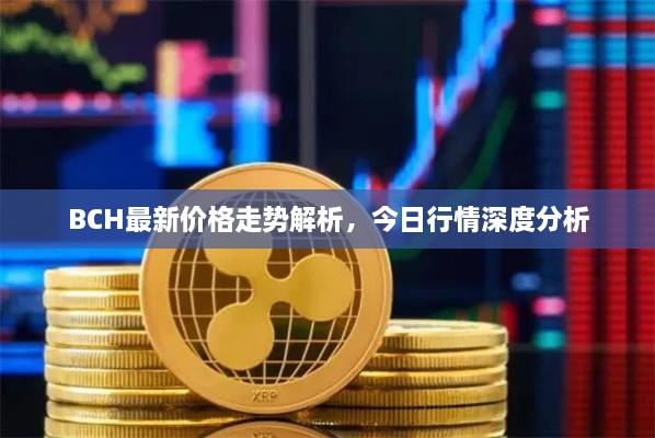 BCH最新價(jià)格走勢解析，今日行情深度分析