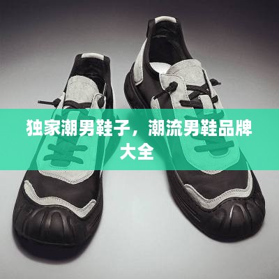 獨家潮男鞋子，潮流男鞋品牌大全 