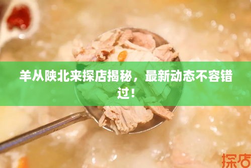 羊從陜北來(lái)探店揭秘，最新動(dòng)態(tài)不容錯(cuò)過(guò)！