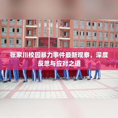 張家川校園暴力事件最新觀察，深度反思與應對之道