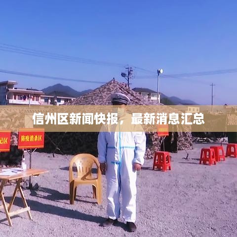 信州區(qū)新聞快報，最新消息匯總