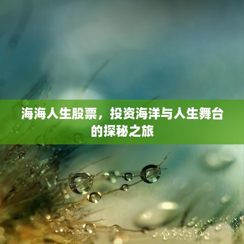 海海人生股票，投資海洋與人生舞臺(tái)的探秘之旅