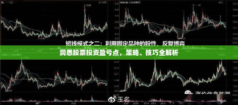 洞悉股票投資盈虧點(diǎn)，策略、技巧全解析
