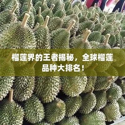 榴蓮界的王者揭秘，全球榴蓮品種大排名！