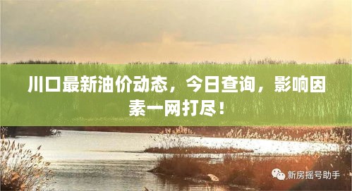 川口最新油價動態(tài)，今日查詢，影響因素一網(wǎng)打盡！