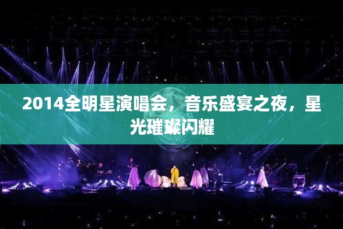 2014全明星演唱會，音樂盛宴之夜，星光璀璨閃耀