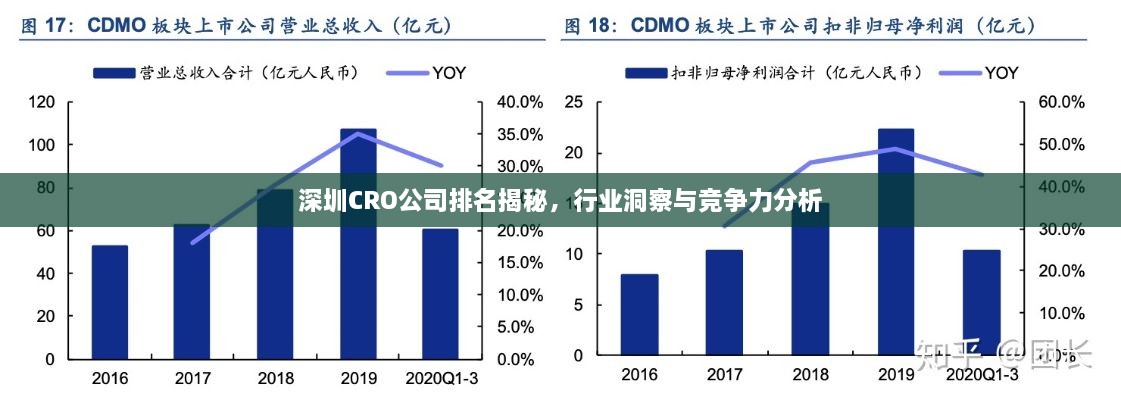 深圳CRO公司排名揭秘，行業(yè)洞察與競爭力分析