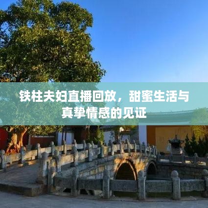 鐵柱夫婦直播回放，甜蜜生活與真摯情感的見證