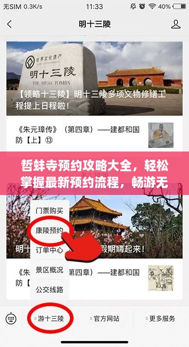 哲蚌寺預約攻略大全，輕松掌握最新預約流程，暢游無阻！