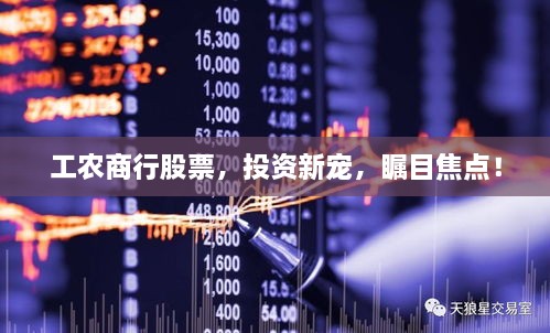 工農(nóng)商行股票，投資新寵，矚目焦點(diǎn)！