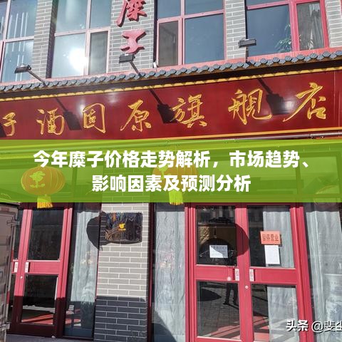 今年糜子價(jià)格走勢解析，市場趨勢、影響因素及預(yù)測分析