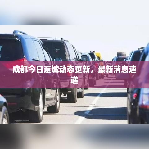 成都今日返城動(dòng)態(tài)更新，最新消息速遞