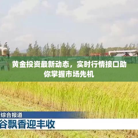 黃金投資最新動(dòng)態(tài)，實(shí)時(shí)行情接口助你掌握市場先機(jī)