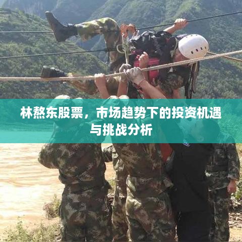 林熬東股票，市場趨勢下的投資機遇與挑戰(zhàn)分析