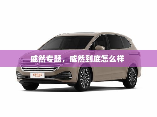 威然專題，威然到底怎么樣 