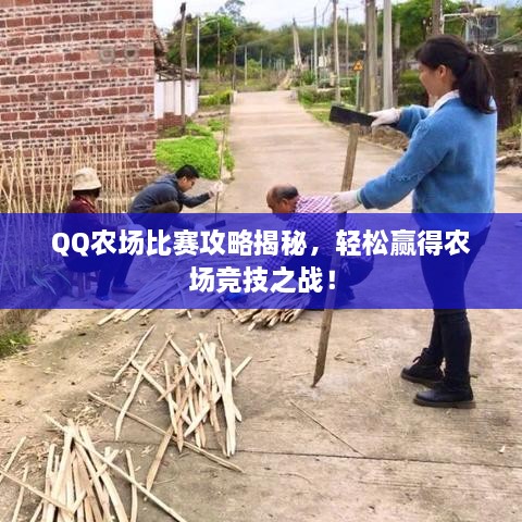 QQ農(nóng)場(chǎng)比賽攻略揭秘，輕松贏得農(nóng)場(chǎng)競(jìng)技之戰(zhàn)！