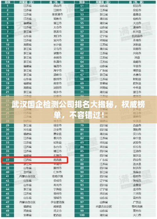 武漢國企檢測公司排名大揭秘，權(quán)威榜單，不容錯過！