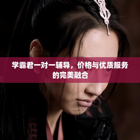 學(xué)霸君一對一輔導(dǎo)，價格與優(yōu)質(zhì)服務(wù)的完美融合