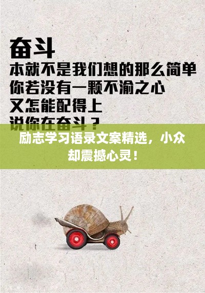 勵志學(xué)習(xí)語錄文案精選，小眾卻震撼心靈！