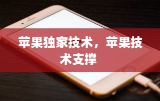 蘋(píng)果獨(dú)家技術(shù)，蘋(píng)果技術(shù)支撐 