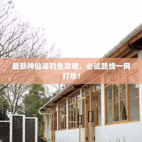 最新神仙湖釣魚攻略，必試路線一網(wǎng)打盡！