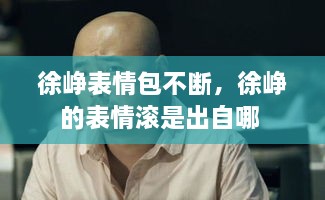 徐崢表情包不斷，徐崢的表情滾是出自哪 