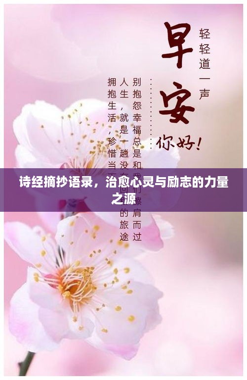 詩經(jīng)摘抄語錄，治愈心靈與勵(lì)志的力量之源