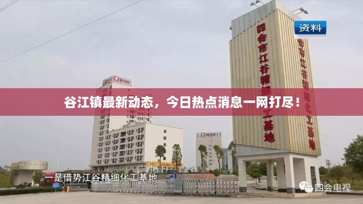 谷江鎮(zhèn)最新動態(tài)，今日熱點消息一網(wǎng)打盡！