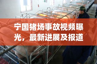 寧國(guó)豬場(chǎng)事故視頻曝光，最新進(jìn)展及報(bào)道概述