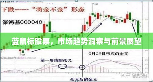 藍(lán)鼠標(biāo)股票，市場(chǎng)趨勢(shì)洞察與前景展望