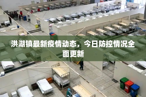 洪湖鎮(zhèn)最新疫情動(dòng)態(tài)，今日防控情況全面更新