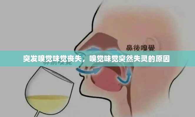 突發(fā)嗅覺味覺喪失，嗅覺味覺突然失靈的原因 