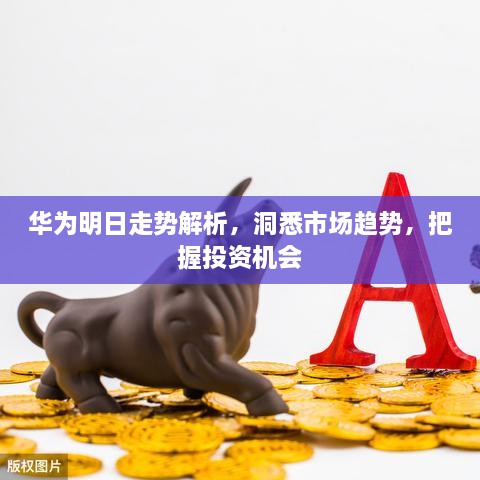 華為明日走勢解析，洞悉市場趨勢，把握投資機會