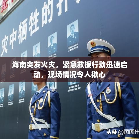 海南突發(fā)火災(zāi)，緊急救援行動(dòng)迅速啟動(dòng)，現(xiàn)場(chǎng)情況令人揪心