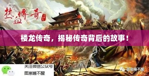 樓龍傳奇，揭秘傳奇背后的故事！